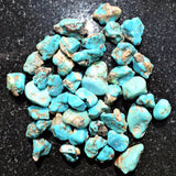 CHARGED Arizona Turquoise Nugget Crystal Perfect Pendant + 20" Silver Chain