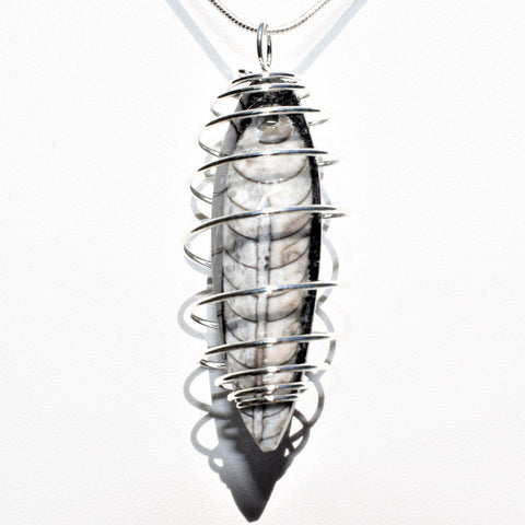 CHARGED Baby Moroccan Orthoceras Fossil Perfect Pendant + 20" Silver Chain