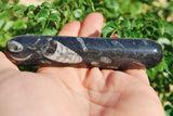 CHARGED 4.0"  Orthoceras Fossil Wand Reflexology Massage Crystal Energy Healing