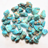 CHARGED Arizona Turquoise Nugget Crystal Perfect Pendant + 20" Silver Chain