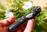 CHARGED 4.0"  Orthoceras Fossil Wand Reflexology Massage Crystal Energy Healing