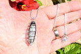 CHARGED Baby Moroccan Orthoceras Fossil Perfect Pendant + 20" Silver Chain