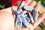 xBrazilian Blue Kyanite Crystal Perfect Pendant™ + 26" 925 Silver Chain WOW!!!