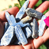Brazilian Blue Kyanite Crystal Perfect Pendant + 20" Silver Chain WOW!!!