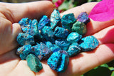 ~20 PCS AAA Grade CHARGED 650cts BABY PEACOCK ORE Chalcopyrite Crystals Healing