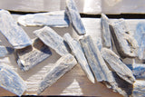 xBrazilian Blue Kyanite Crystal Perfect Pendant™ + 26" 925 Silver Chain WOW!!!