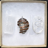 CHARGED Flashy Opalized Ammonite (Amolite) Perfect Pendant + 20" Silver Chain