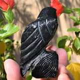 [1] XXL Black Onyx Crystal Hand-Carved Raven Reiki NEGATIVE ENERGY PROTECTION!