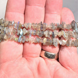 Premium CHARGED Labradorite Crystal Chip Stretchy Bracelet REIKI