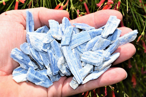 Brazilian Blue Kyanite Crystals (Pendant-Sized Full Half Pound)