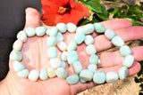 CHARGED Amazonite Crystal Bracelet Tumble Polished Stretchy REIKI Healing Energy