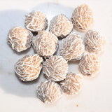 [12] SELENITE Desert Rose Healing Crystals REIKI ENERGY - ZENERGY GEMS 1,200cts