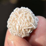 [12] SELENITE Desert Rose Healing Crystals REIKI ENERGY - ZENERGY GEMS 1,200cts
