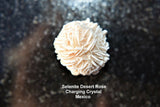 CHARGED Peridot & Dark Amethyst Crystal Chip Stretchy Bracelet w Quartz REIKI
