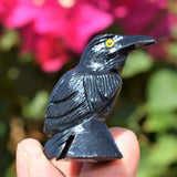 [1] LG 1.65" Black Onyx Crystal Hand-Carved Raven Reiki NEGATIVE ENERGY PROTECTION!